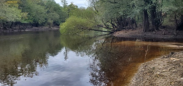 Upstream, Knights Ferry Boat Ramp, Withlacoochee River 2023-09-28, 14:05:18, 30.7119465, -83.4554852