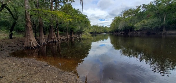 Downstream, Knights Ferry Boat Ramp, Withlacoochee River 2023-09-28, 14:05:23, 30.7119465, -83.4554852