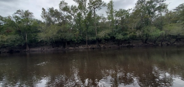 Across, Knights Ferry Boat Ramp, Withlacoochee River 2023-09-28, 14:05:31, 30.7119465, -83.4554852