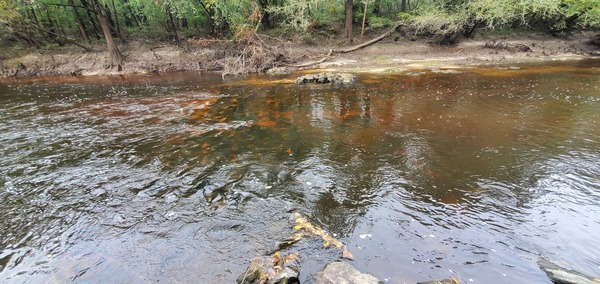 Fish weir, Troupville Boat Ramp, Little River 2023-09-28, 14:46:59, 30.8515022, -83.3475818