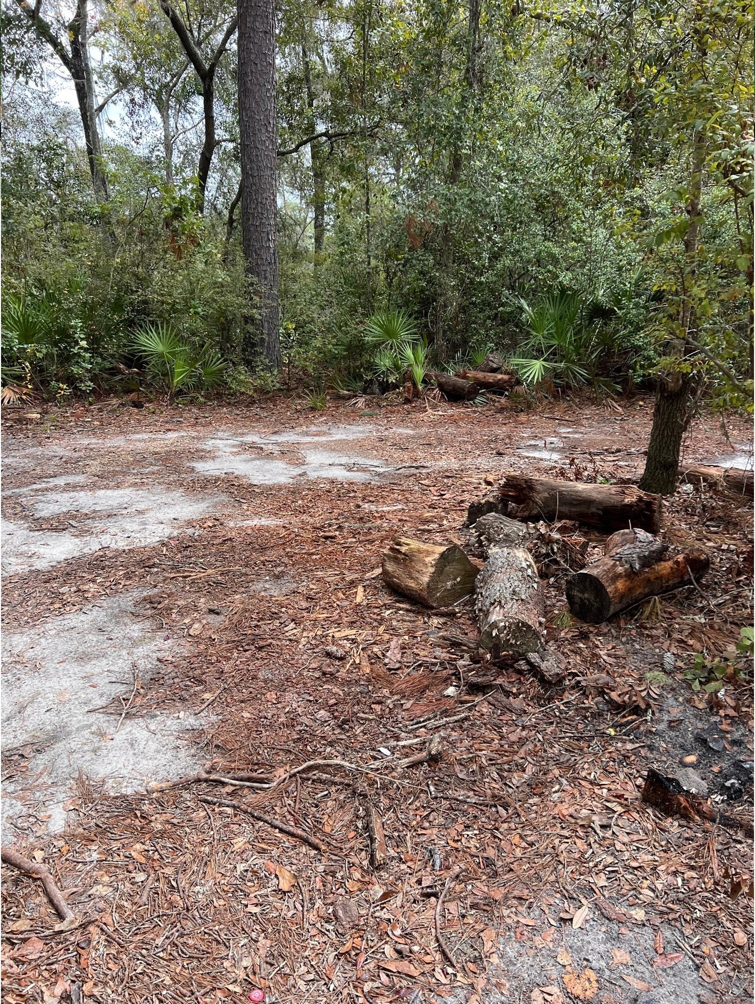 Still no trashcan, Naylor Park Beach, Alapaha River, 2023-09-28