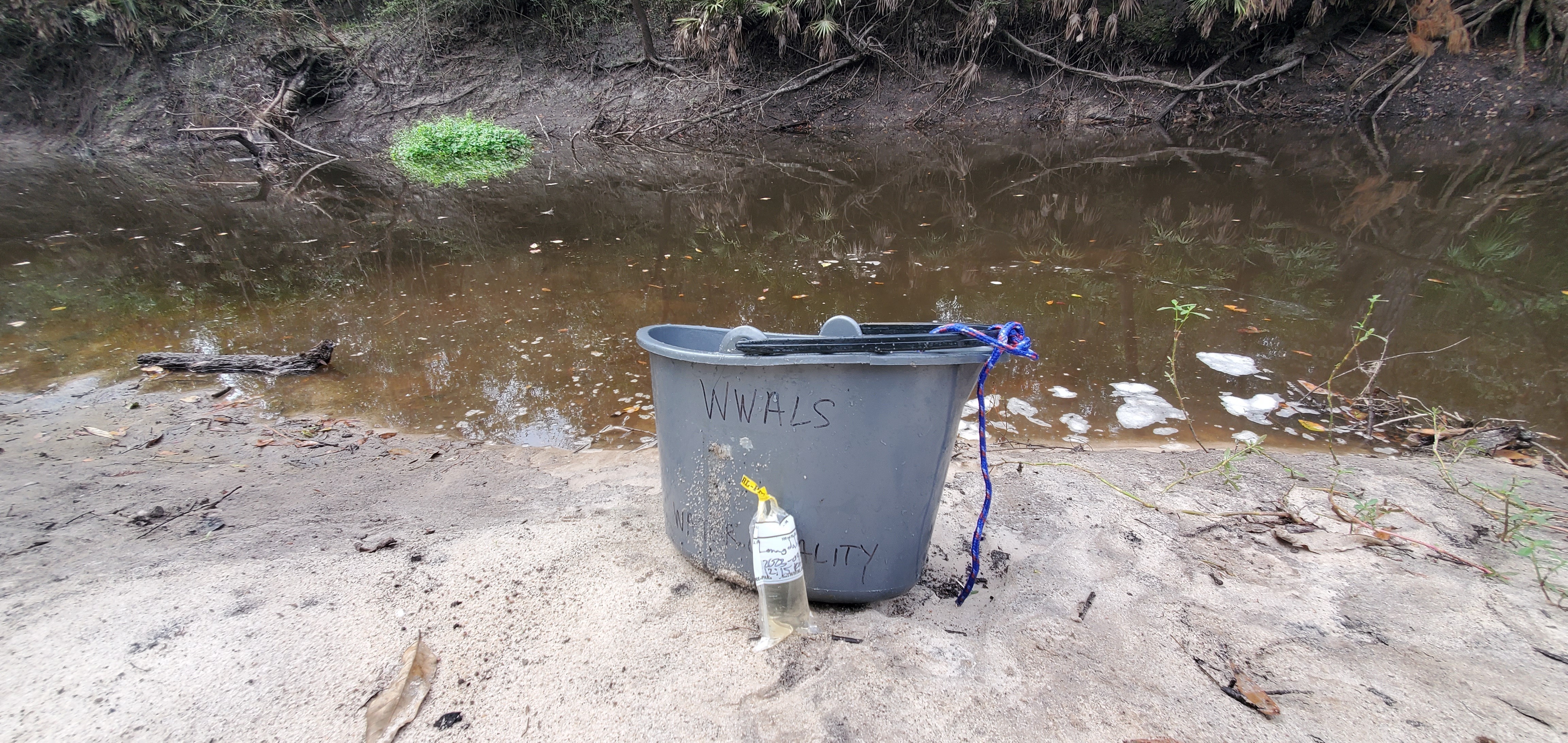 Sample across, Langdale Park, Withlacoochee River 2023-09-28, 12:18:14, 30.8876495, -83.3241619