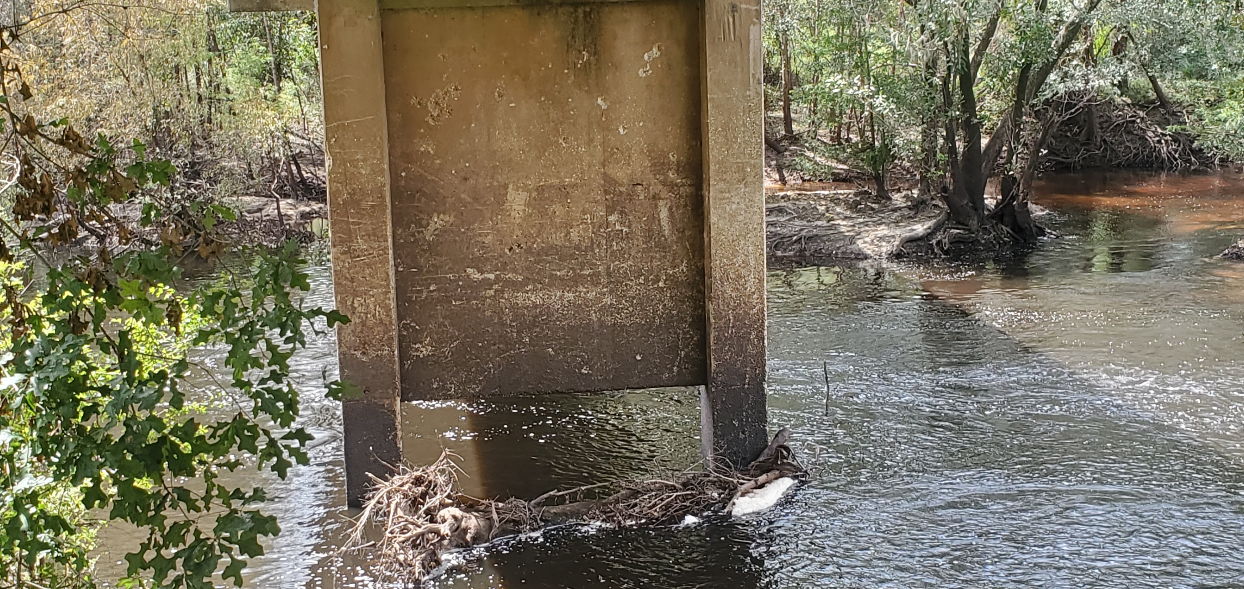 Closeup under C-N Road Bridge, Nankin Boat Ramp, Withlacoochee River, 2023-09-28, 13:38:08, 30.6749477, -83.3940038