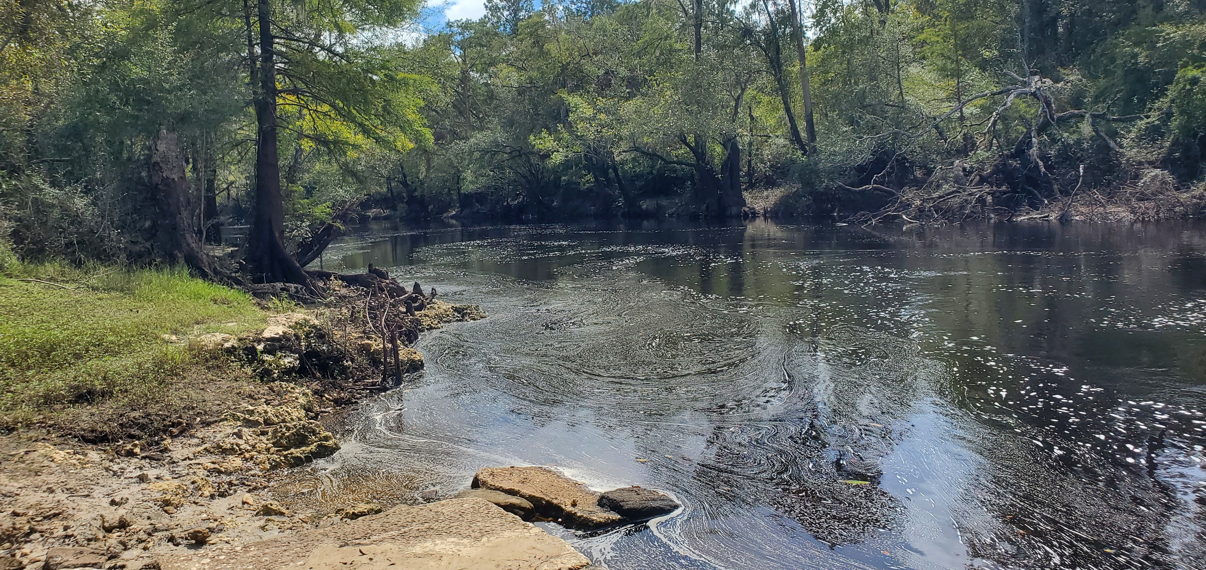 Downstream, Nankin Boat Ramp, Withlacoochee River, 2023-09-28, 13:40:58, 30.6748889, -83.3940256