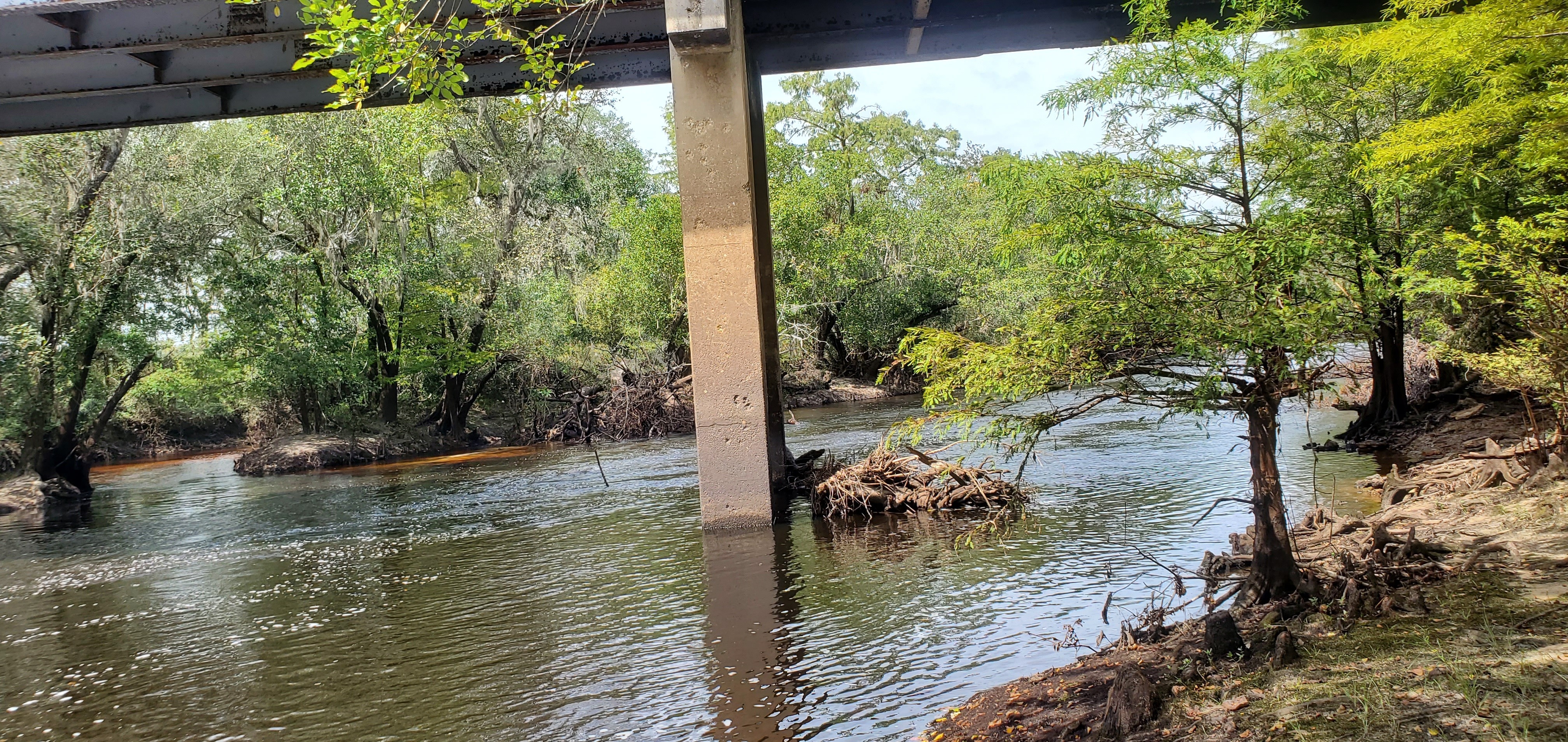 Upstream, Nankin Boat Ramp, Withlacoochee River, 2023-09-28, 13:41:05, 30.6748889, -83.3940256