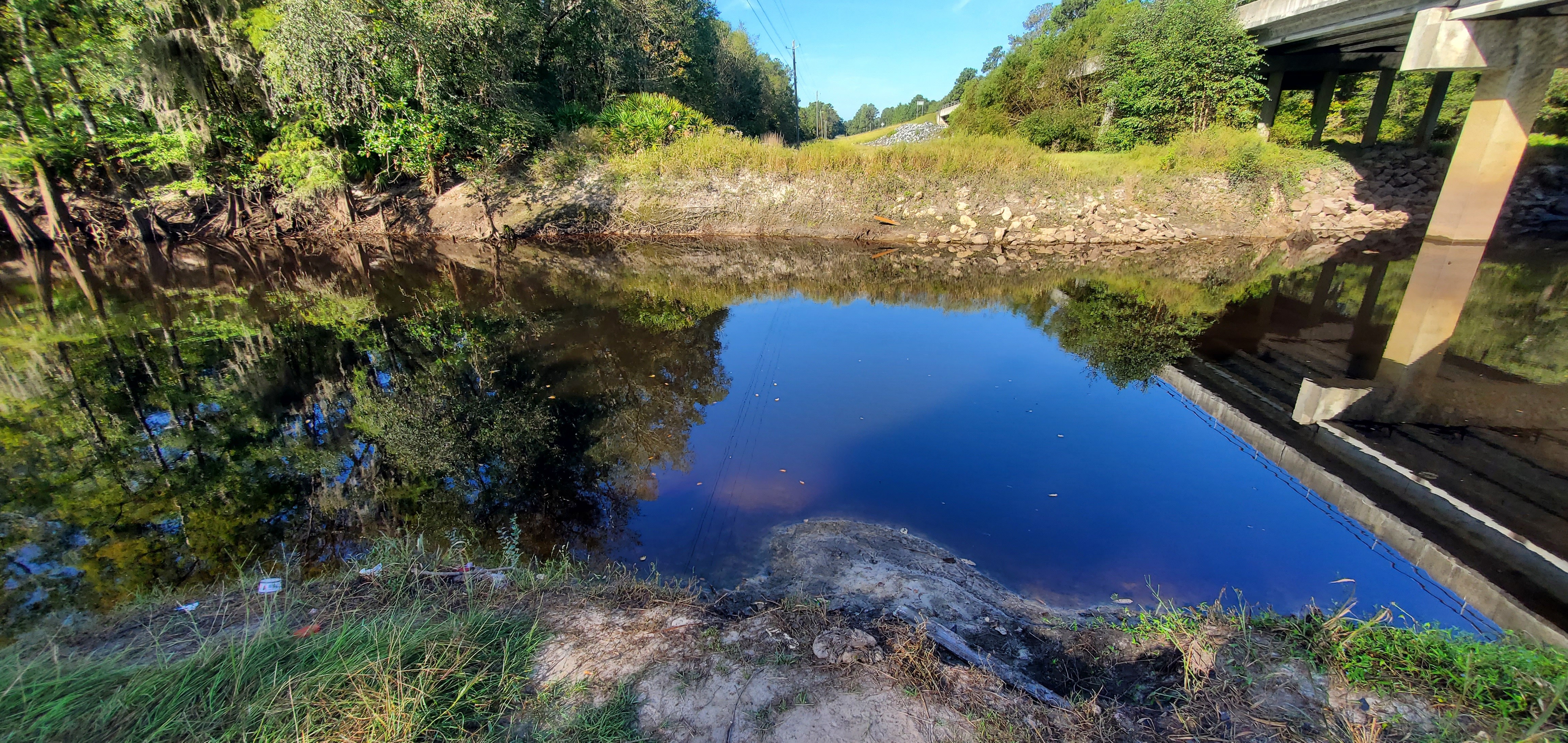 Artifacts across the river, GA 122 @ Withlacoochee River 2023-10-05