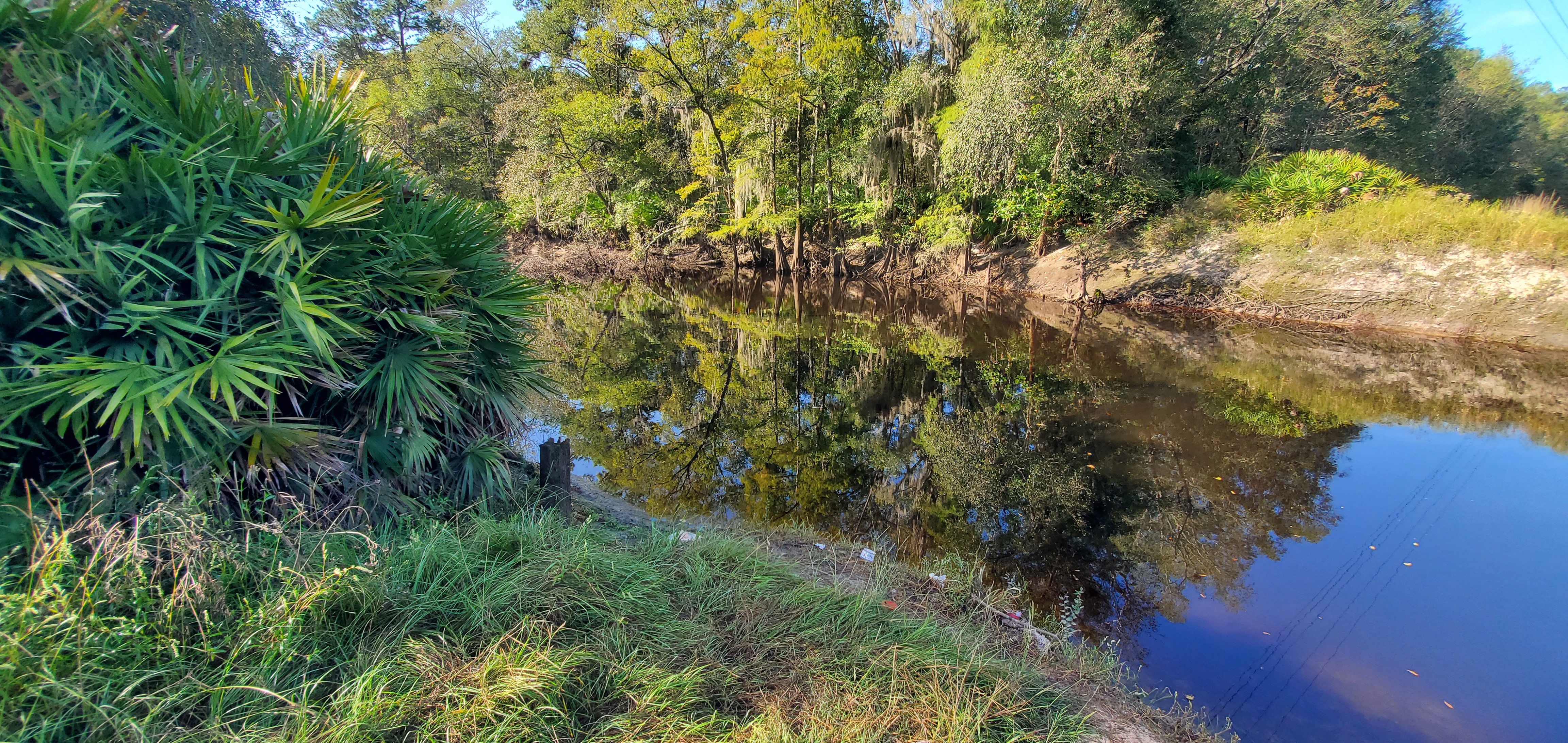 Post by river downstream, GA 122 @ Withlacoochee River 2023-10-05