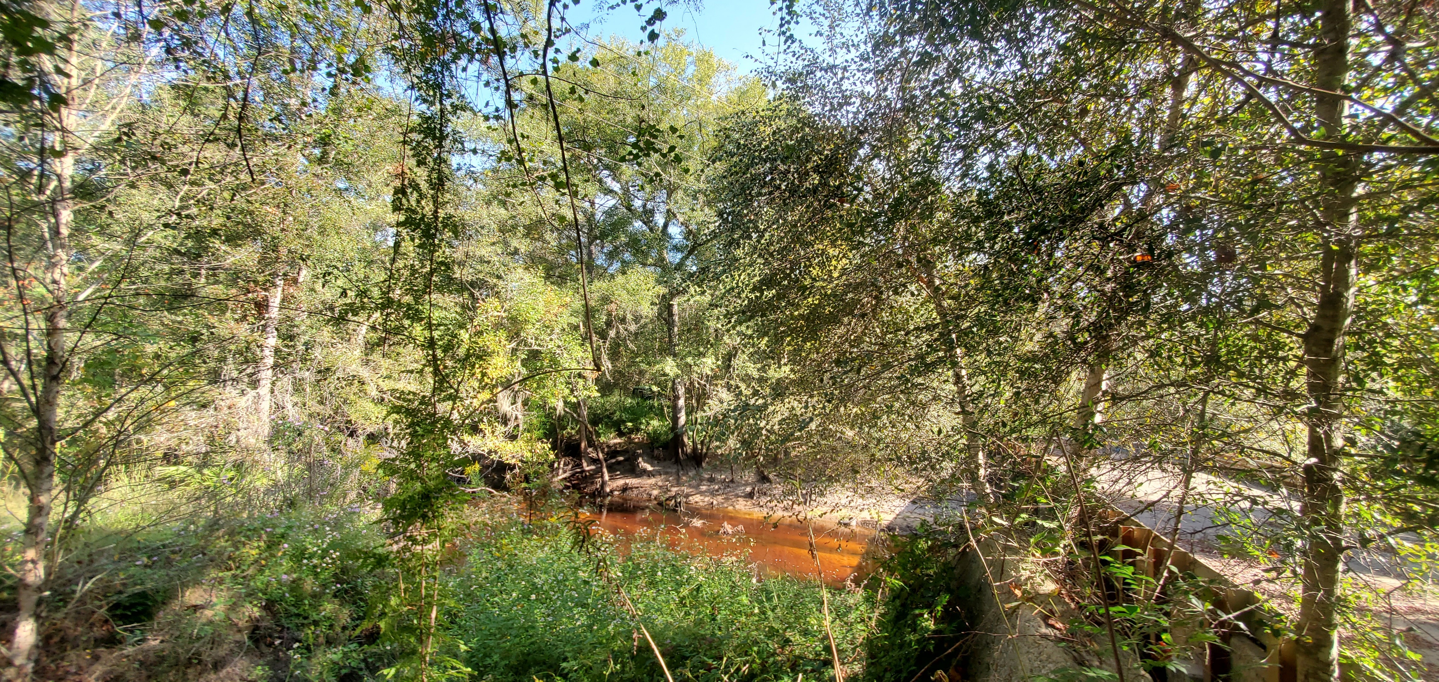 Equipment across, Franklinville Landing, Withlacoochee River 2023-10-05