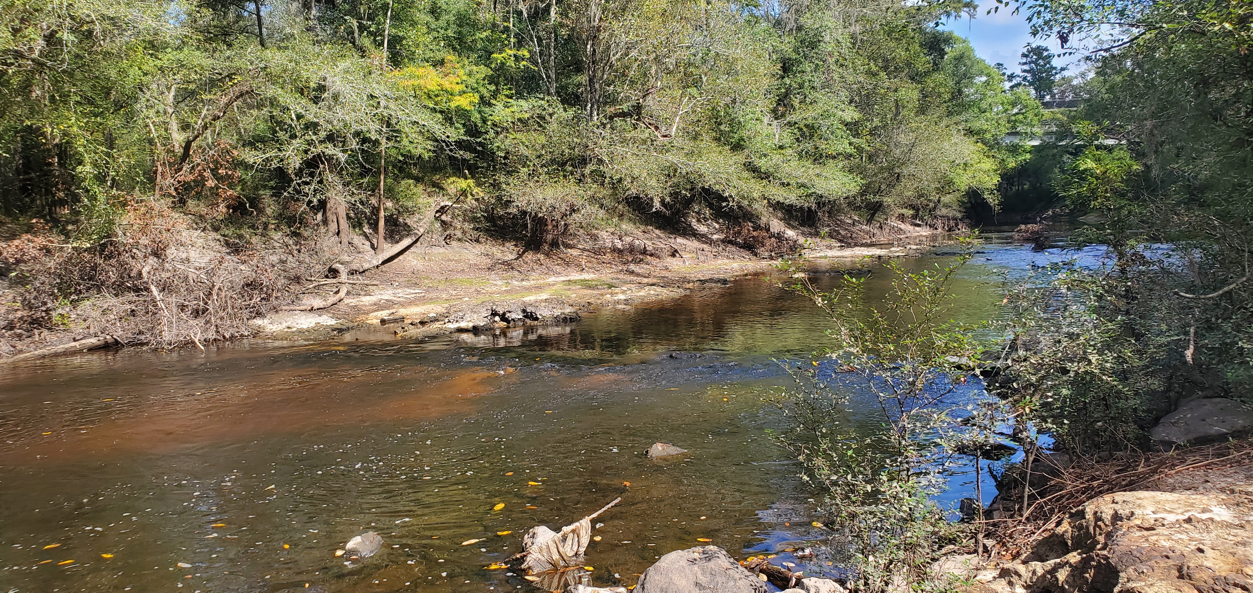 Upstream, Troupville Boat Ramp, GA 133, Little River 2023-10-05