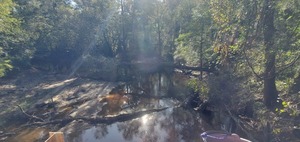 [Downstream, Franklinville Landing, Withlacoochee River 2023-10-05]