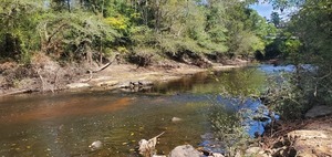 [Upstream, Troupville Boat Ramp, GA 133, Little River 2023-10-05]