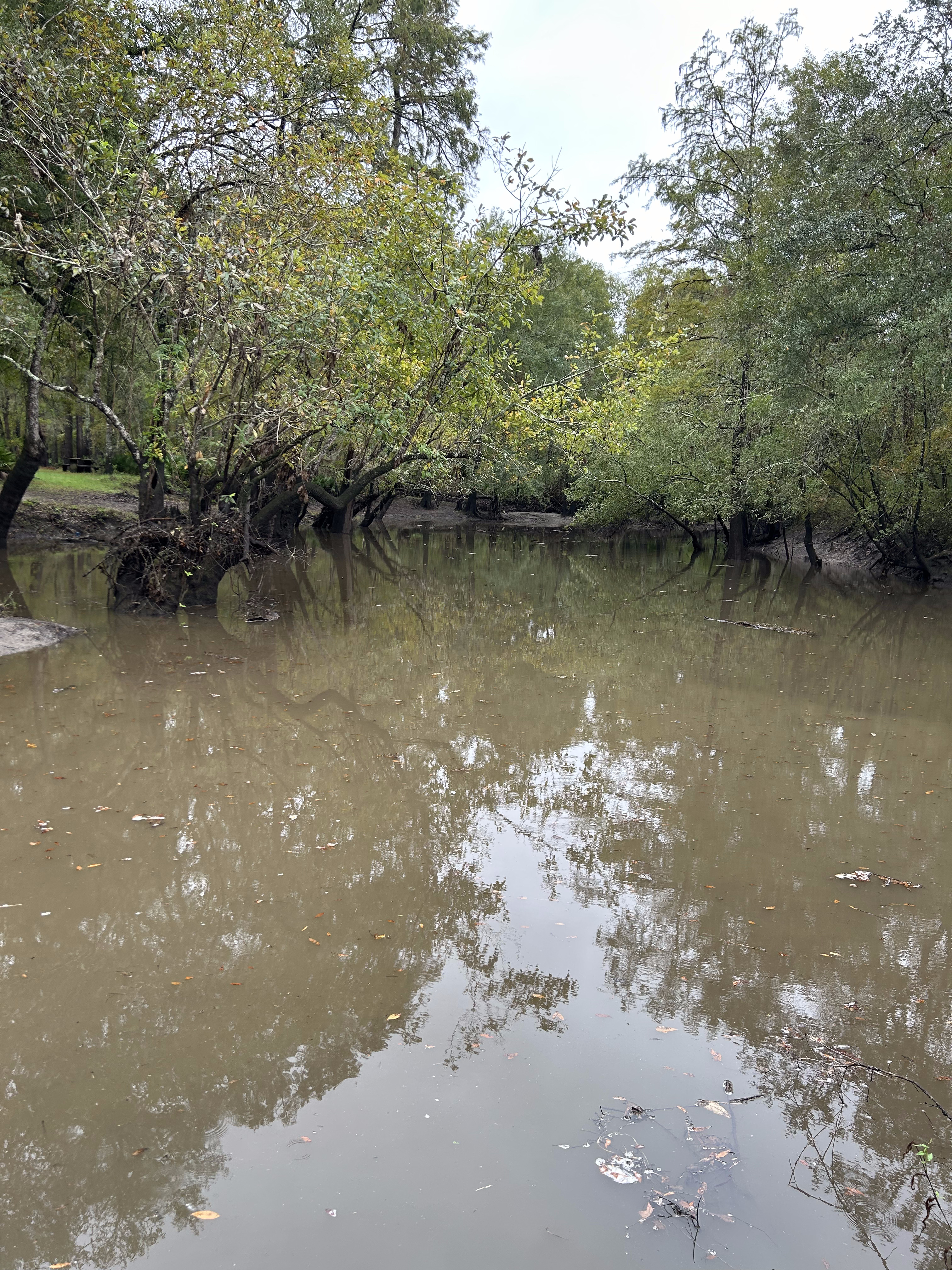 Langdale Park Boat Ramp, Withlacoochee River @ North Valdosta Road 2023-10-12