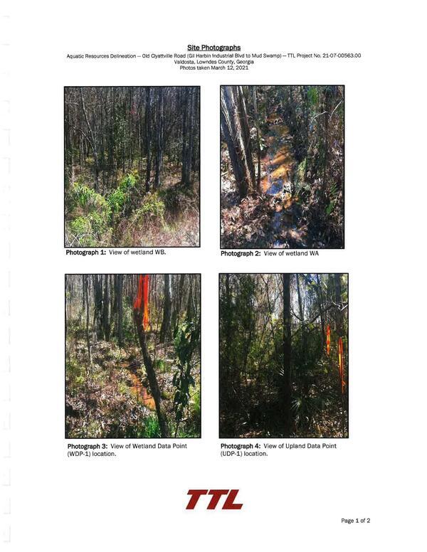 Photograph 3: View of Wetland Data Point Photograph 4: View of Upland Data Point