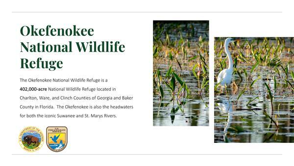 Okefenokee National Wildlife Refuge