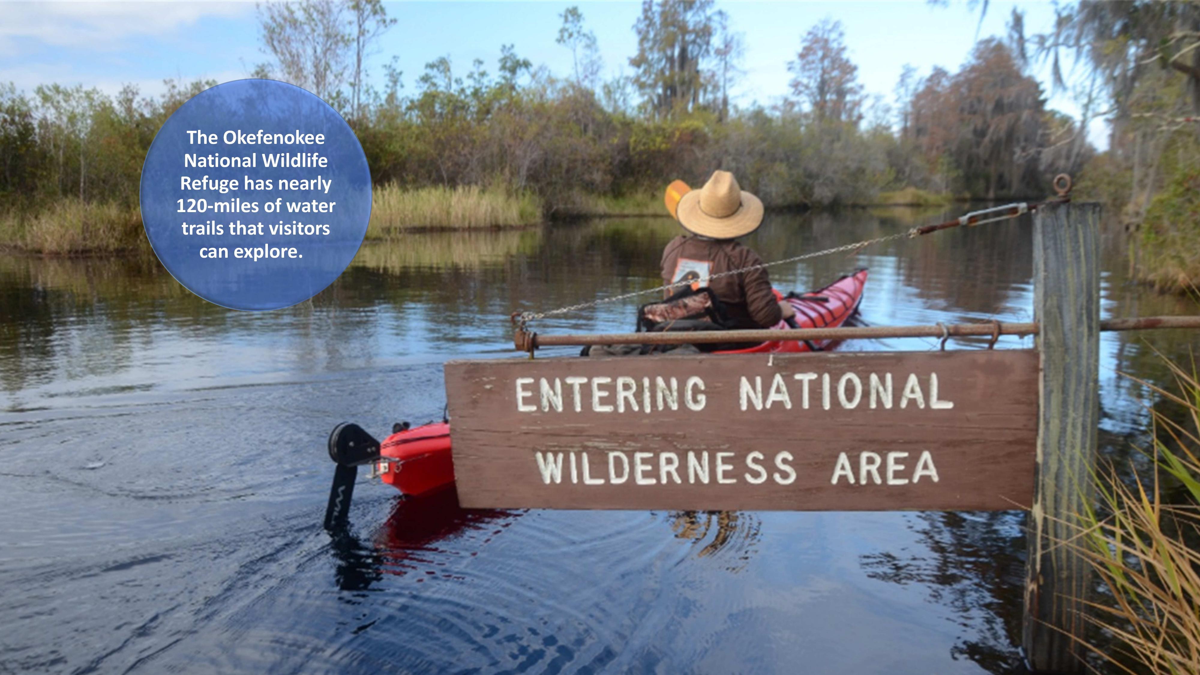 The Okefenokee National Wildlife Refuge has nearly 120-miles of water trails that visitors can explore.