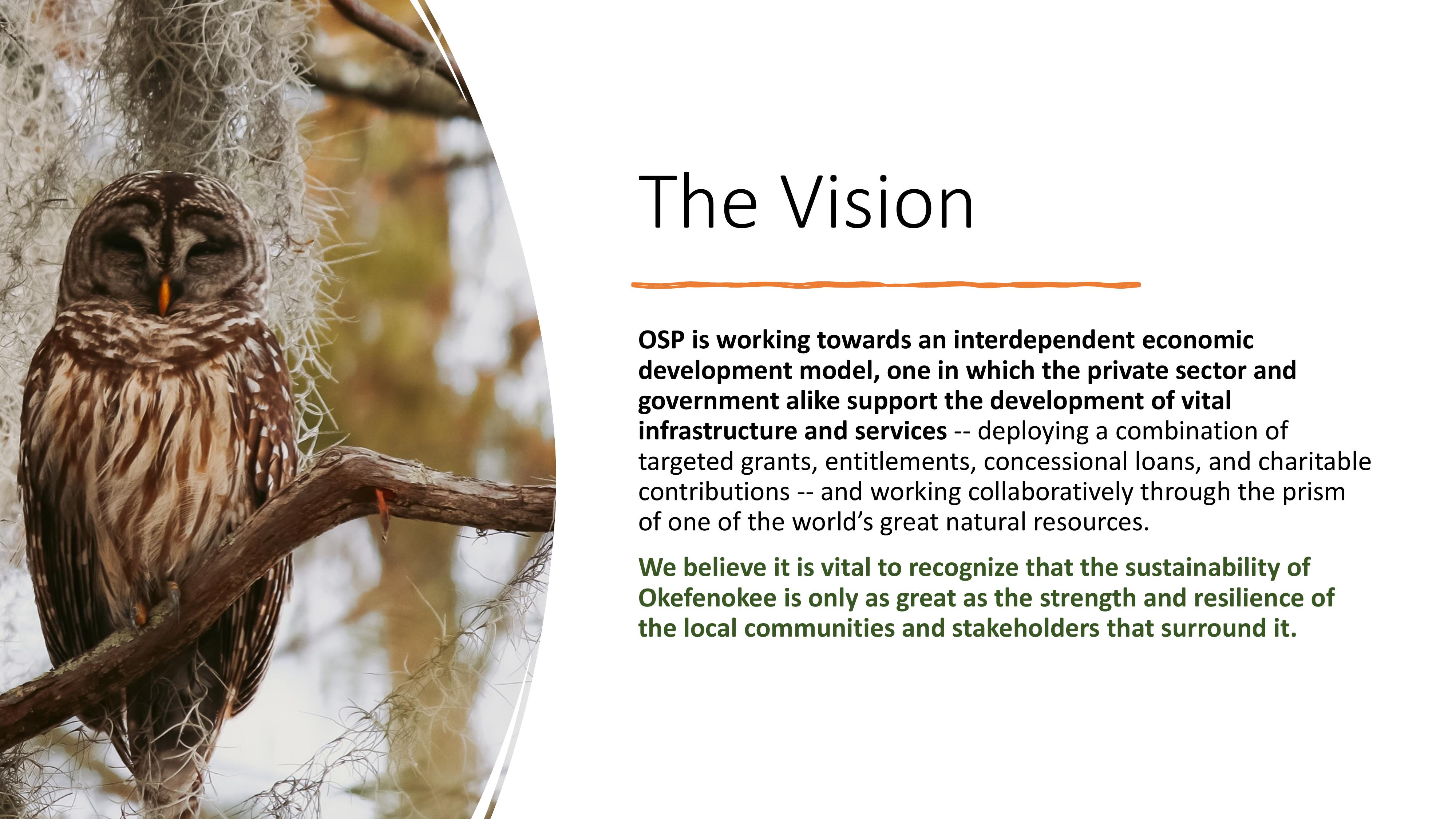 The Vision OSP ...an interdependent economic development model ... working collaboratively through the prism of one of the world’s great natural resources. We believe it is vital to recognize that the sustainability of Okefenokee is only as great as the strength and resilience of the local communities and stakeholders that surround it.