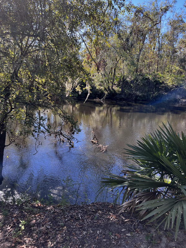 Across, Holly Point, Withlacoochee River, 2023-10-19, 2023:10:17 15:00:00, 30.4137944, -83.2069028