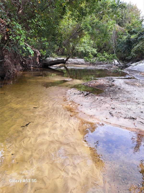 Downstream, Sugar Creek 2023-10-19