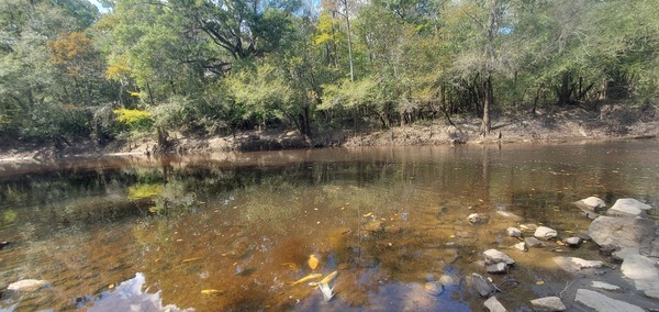 Across, Troupville Boat Ramp, Little River 2023-10-19, 2023:10:19 13:53:45, 30.8512334, -83.3472625