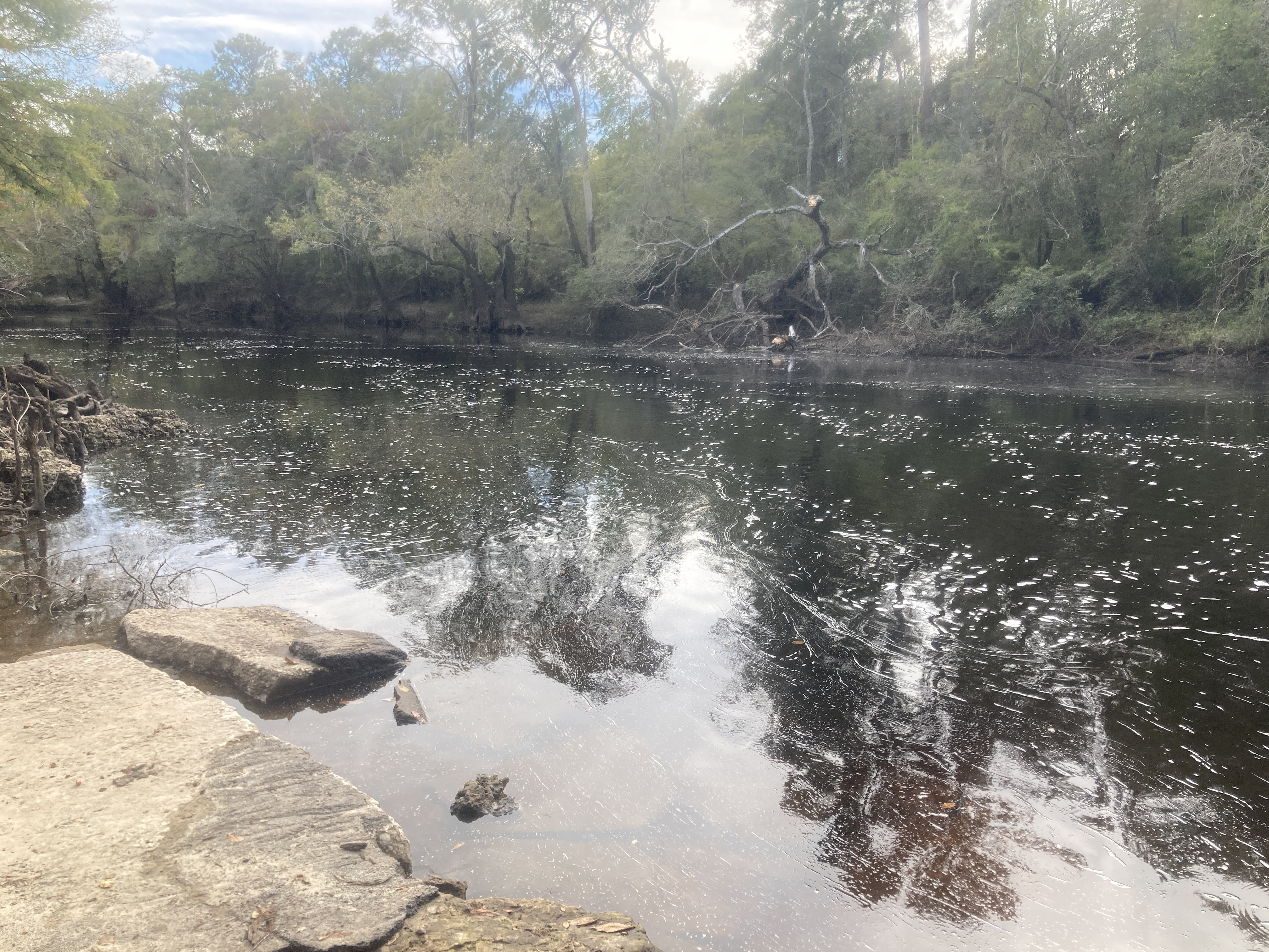 Downstream, Nankin Boat Ramp, Withlacoochee River 2023-10-19