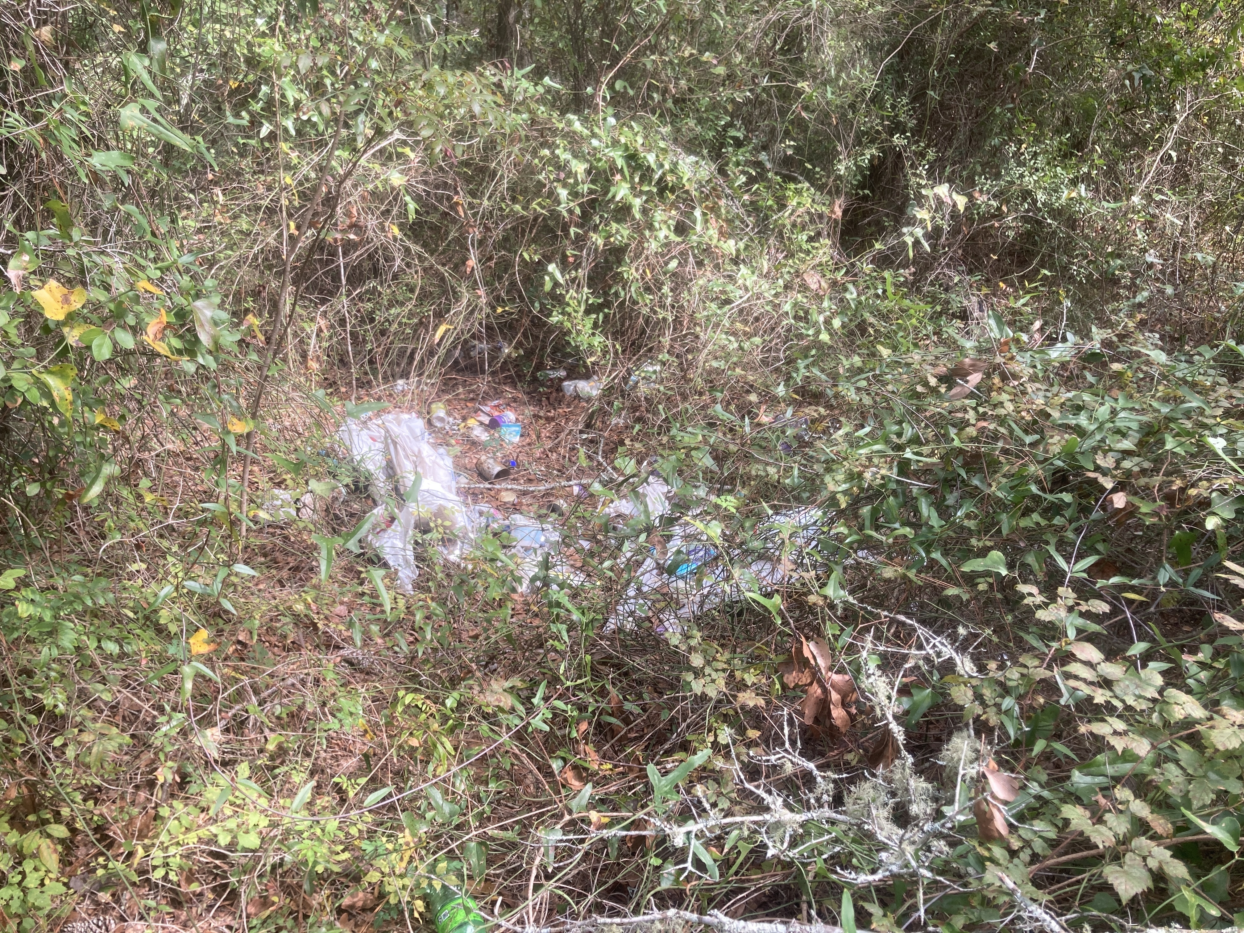 Trash, Nankin Boat Ramp, Withlacoochee River 2023-10-19