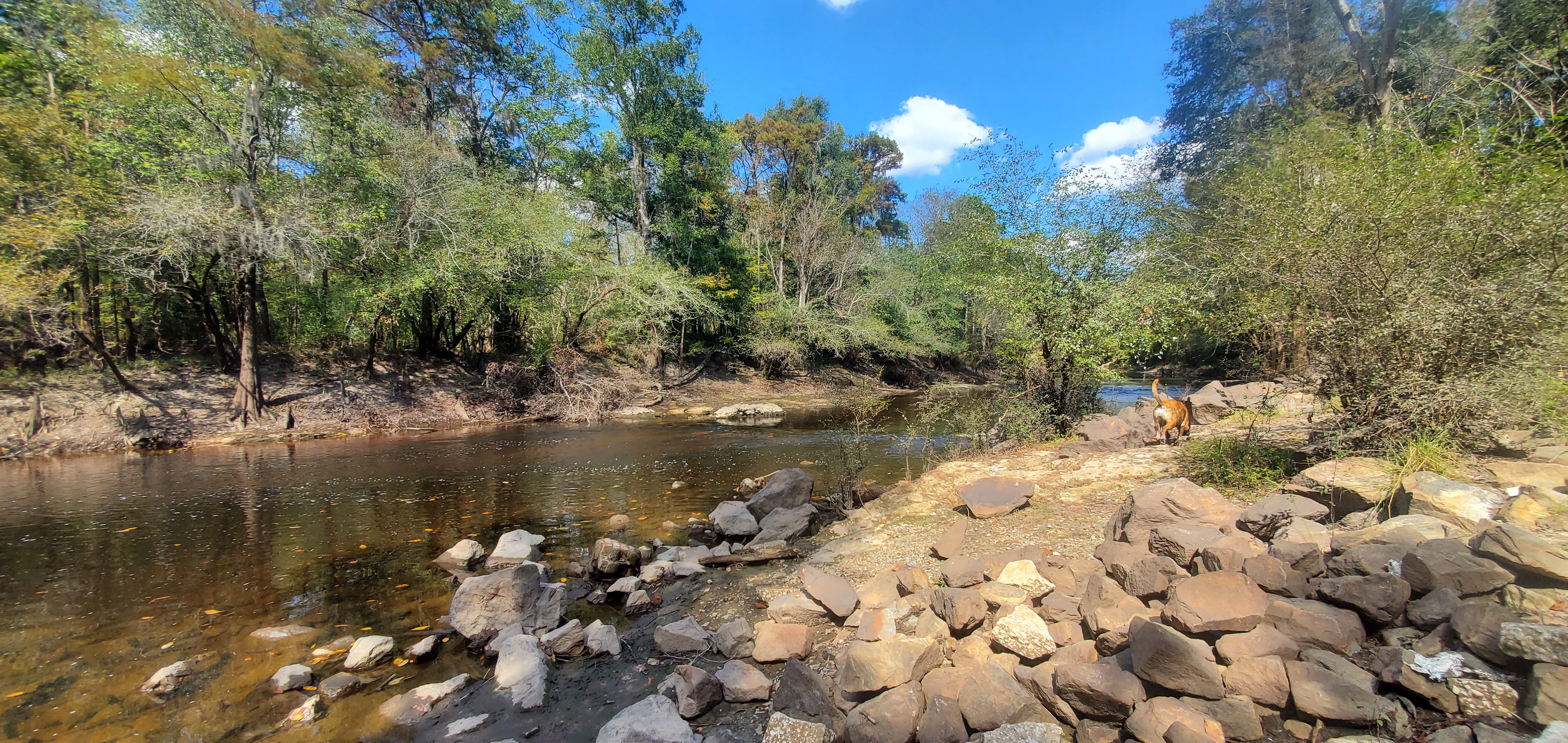 Upstream, Troupville Boat Ramp, Little River 2023-10-19, 2023:10:19 13:53:47, 30.8512334, -83.3472625