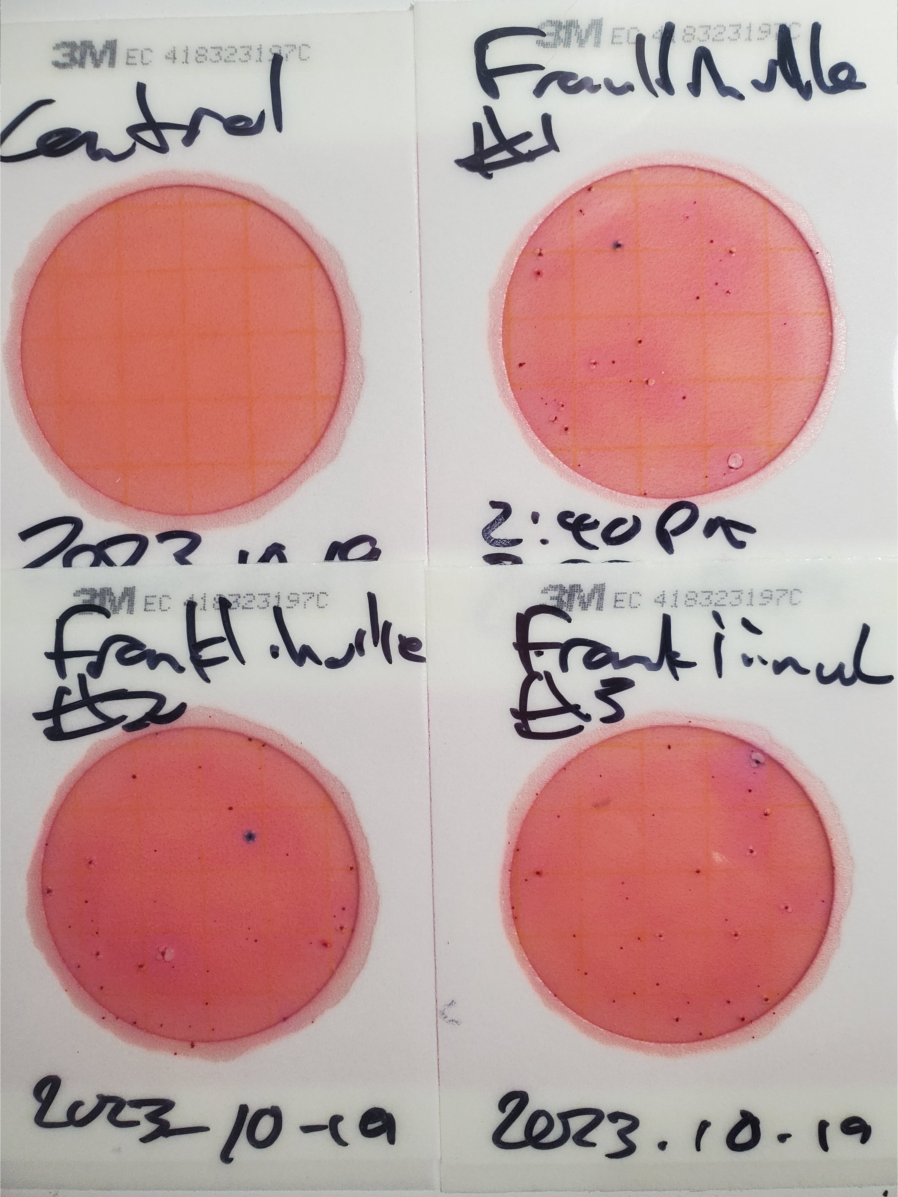 Plates, Franklinville, Withlacoochee River 2023-10-19, 2023:10:20 15:05:32, 31.0126695, -83.2698652