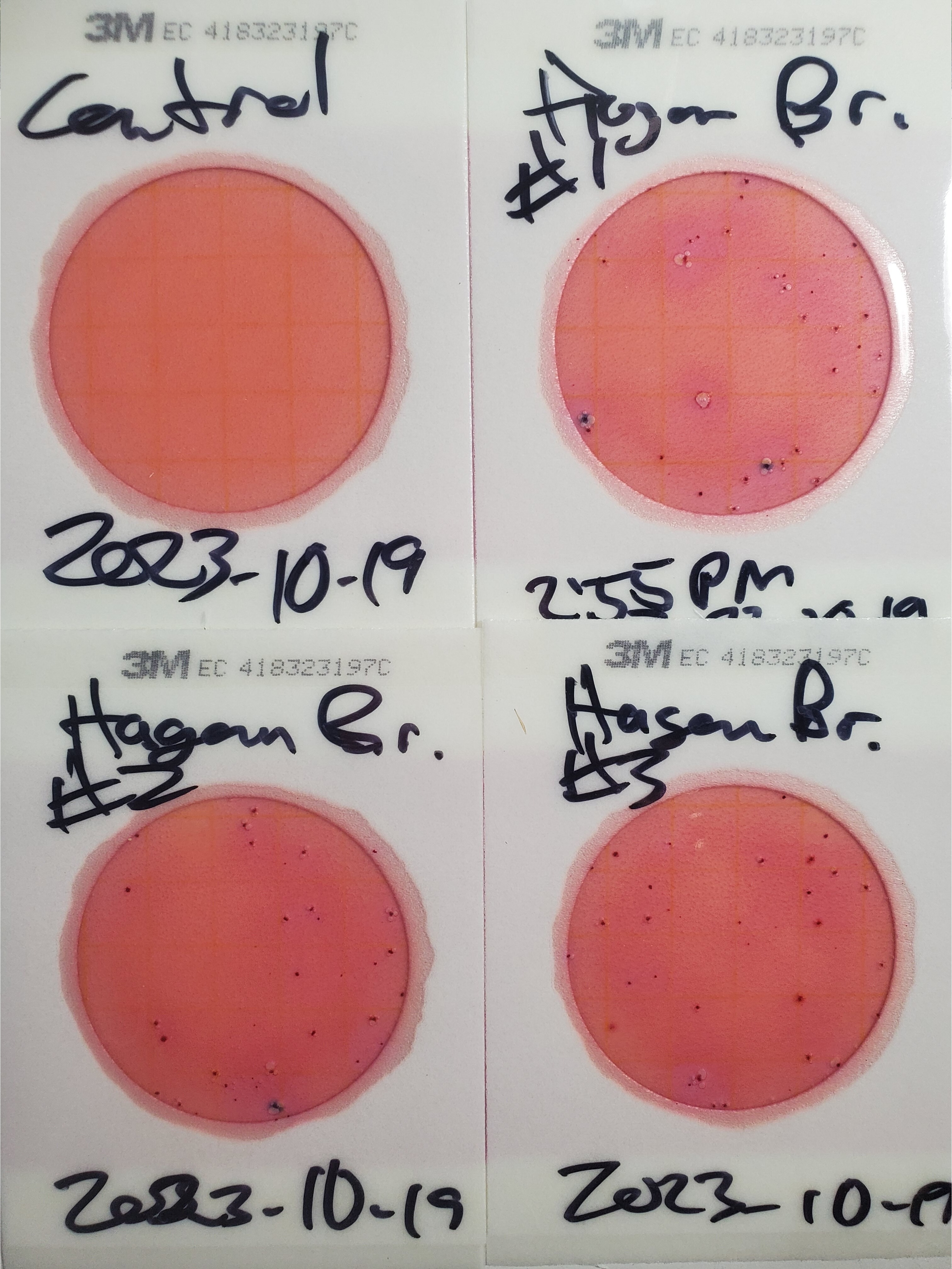 Plates, Hagan Bridge, GA 122, Withlacoochee River 2023-10-19, 2023:10:20 15:06:33, 31.0126688, -83.2698247