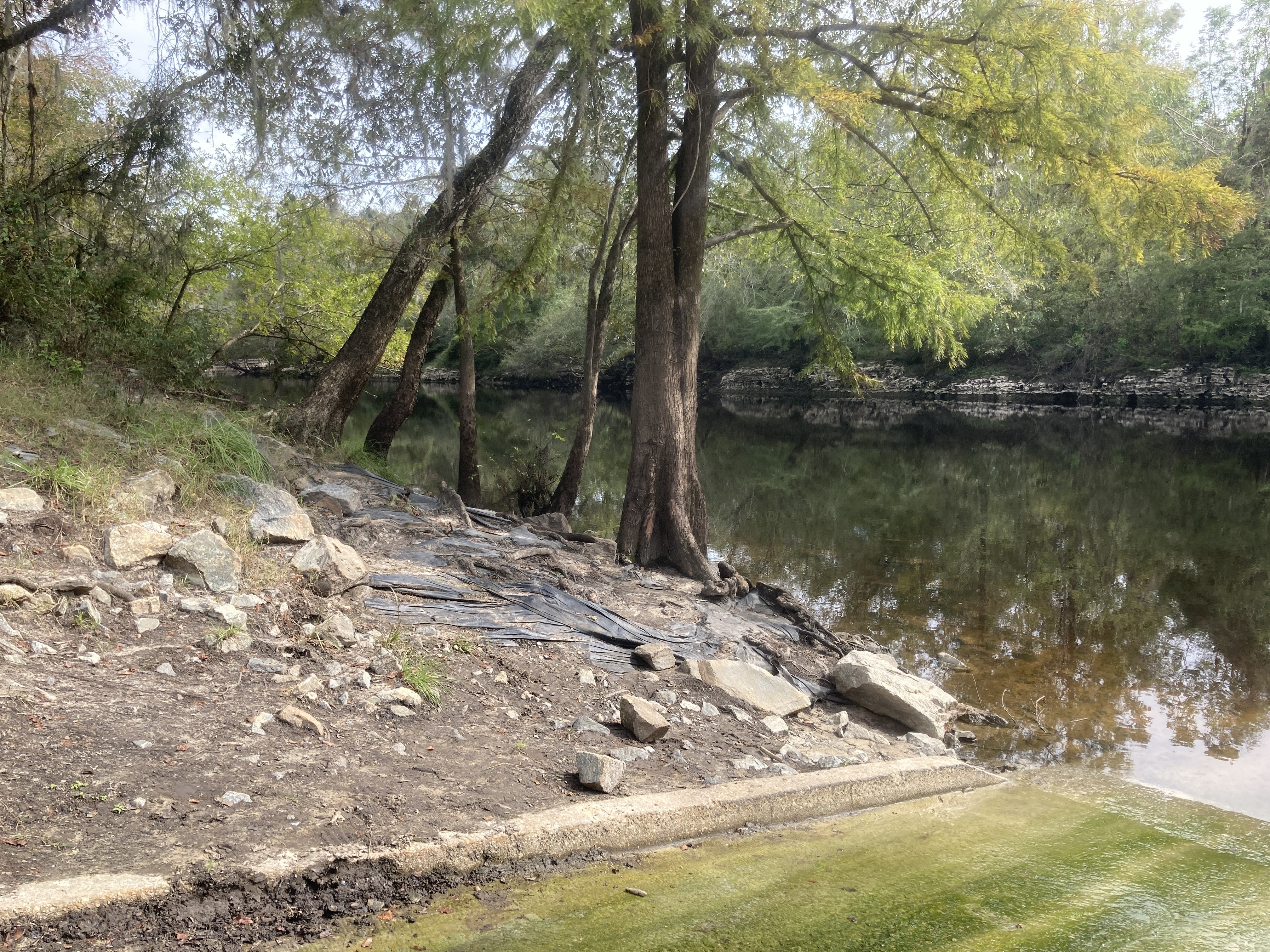 Downstream, State Line Boat Ramp, Withlacoochee River 2023-10-19