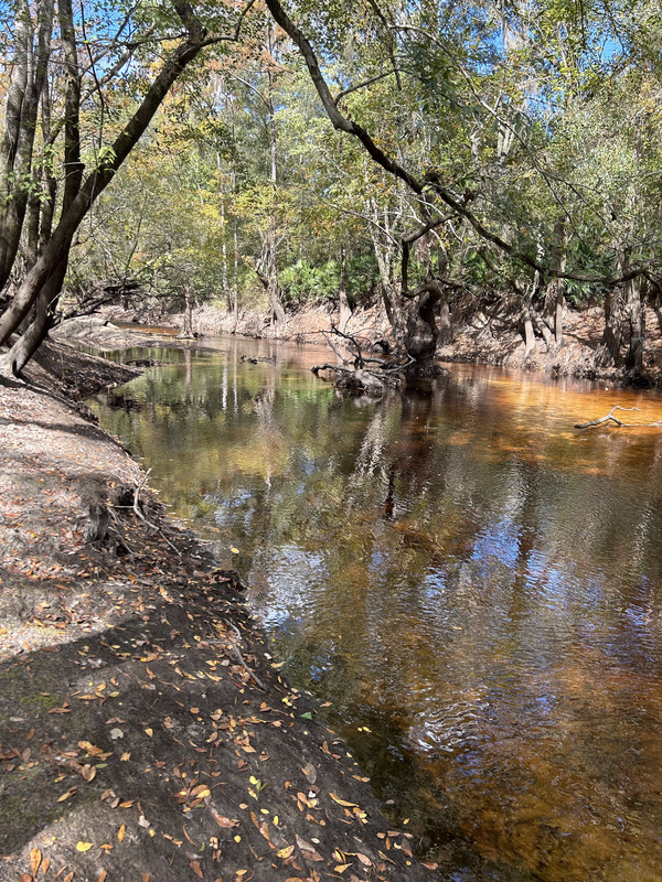 Franklinville downstream, Withlacoochee River @ Frankinville Road 2023-10-26