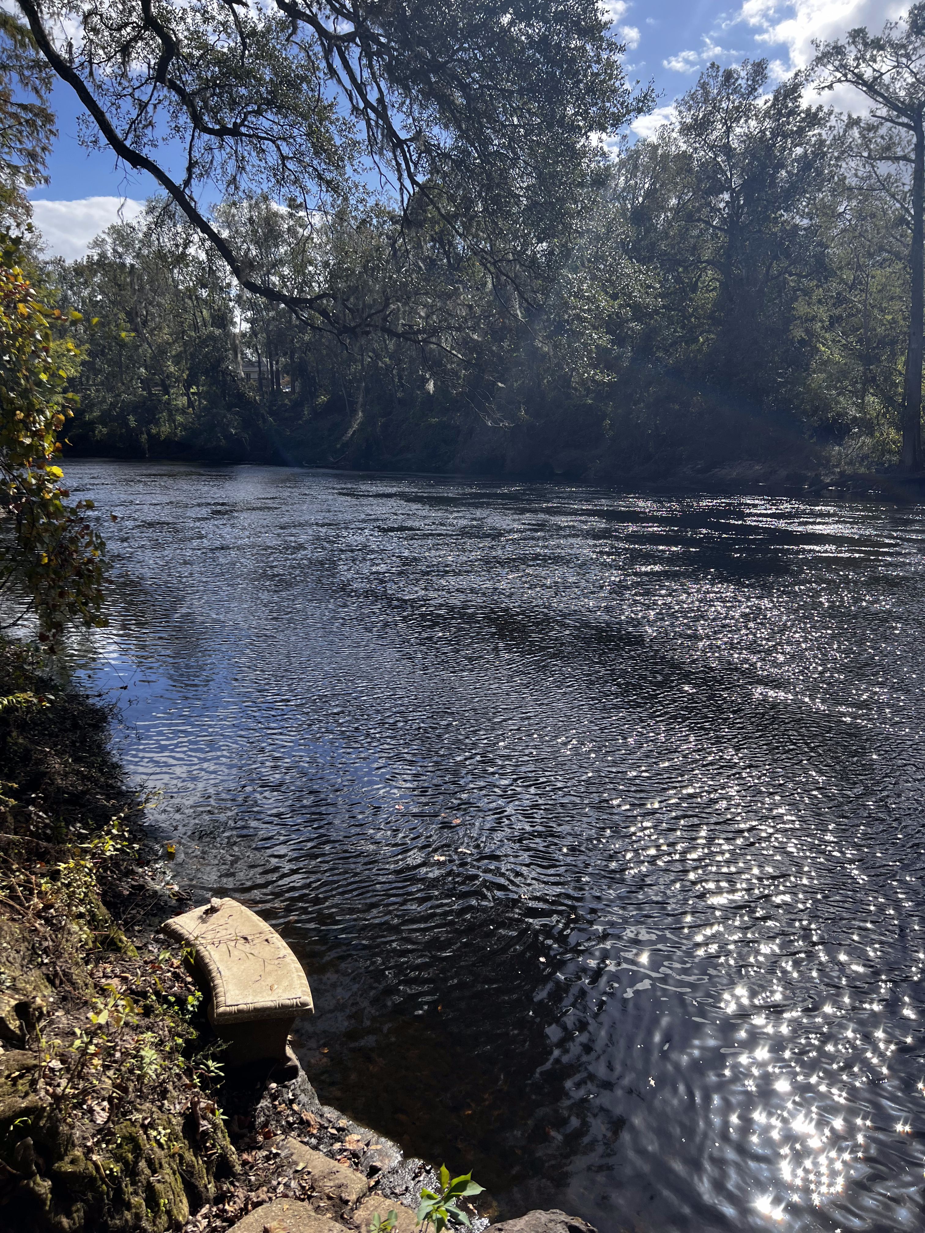 Holly Point, Withlacoochee River @ NE Withla Bluffs Way 2023-10-26