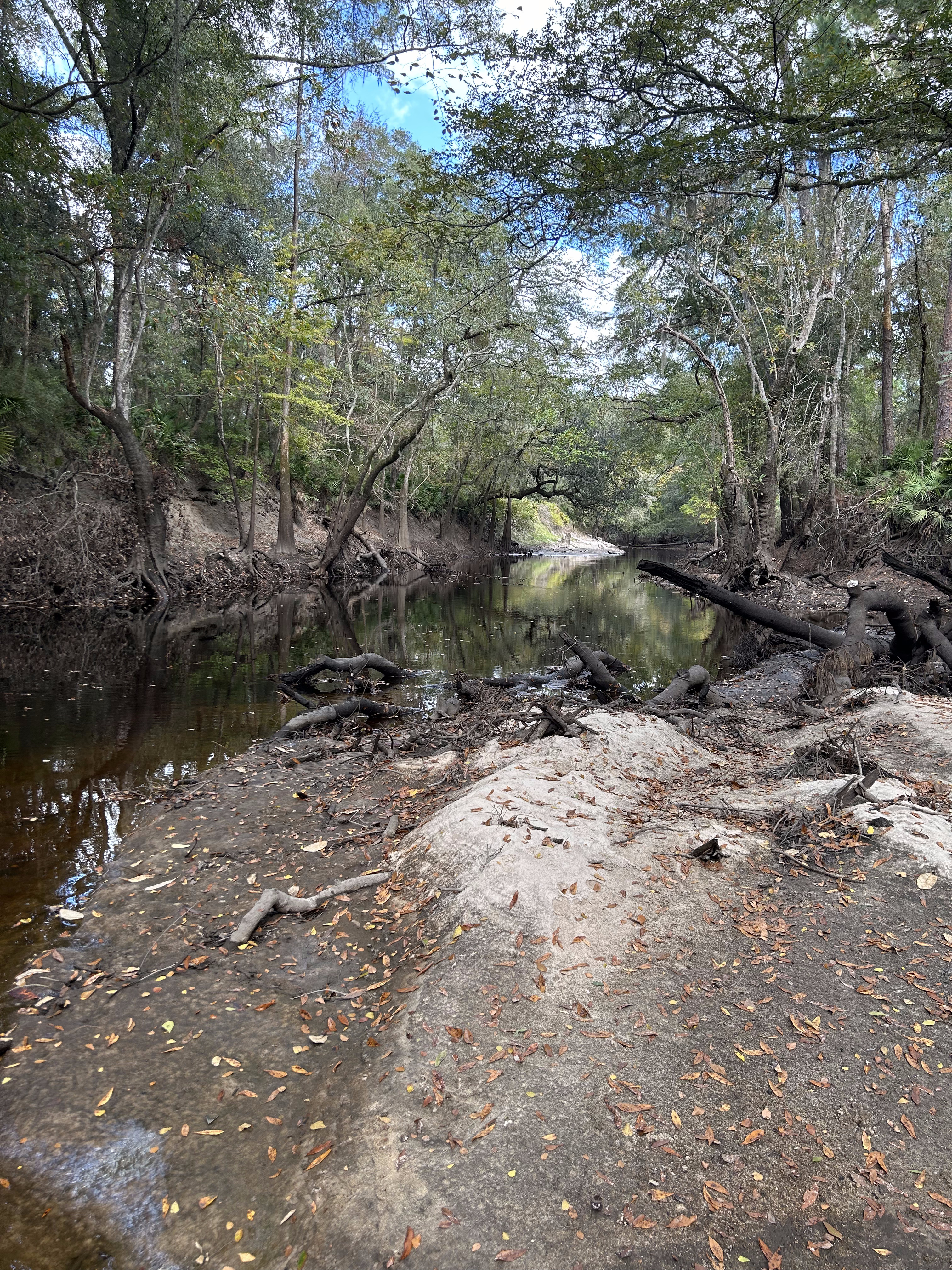 Staten Road, Withlacoochee River @ Staten Road 2023-10-26