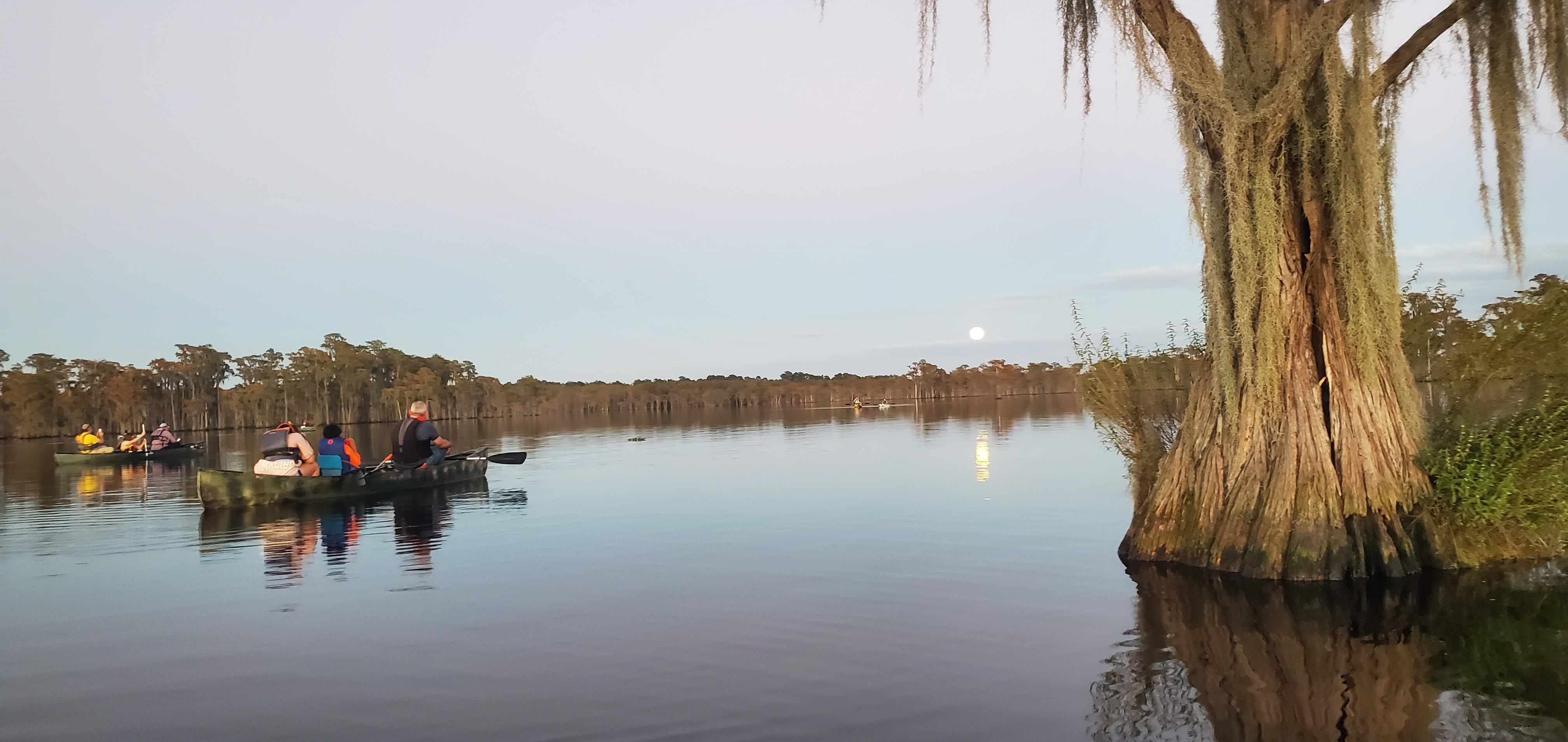 Boats, moon, and bat tree