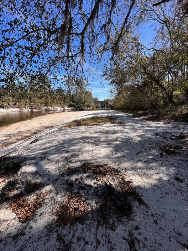 Naylor Park Beach other, Alapaha River @ US 82 2023-11-02