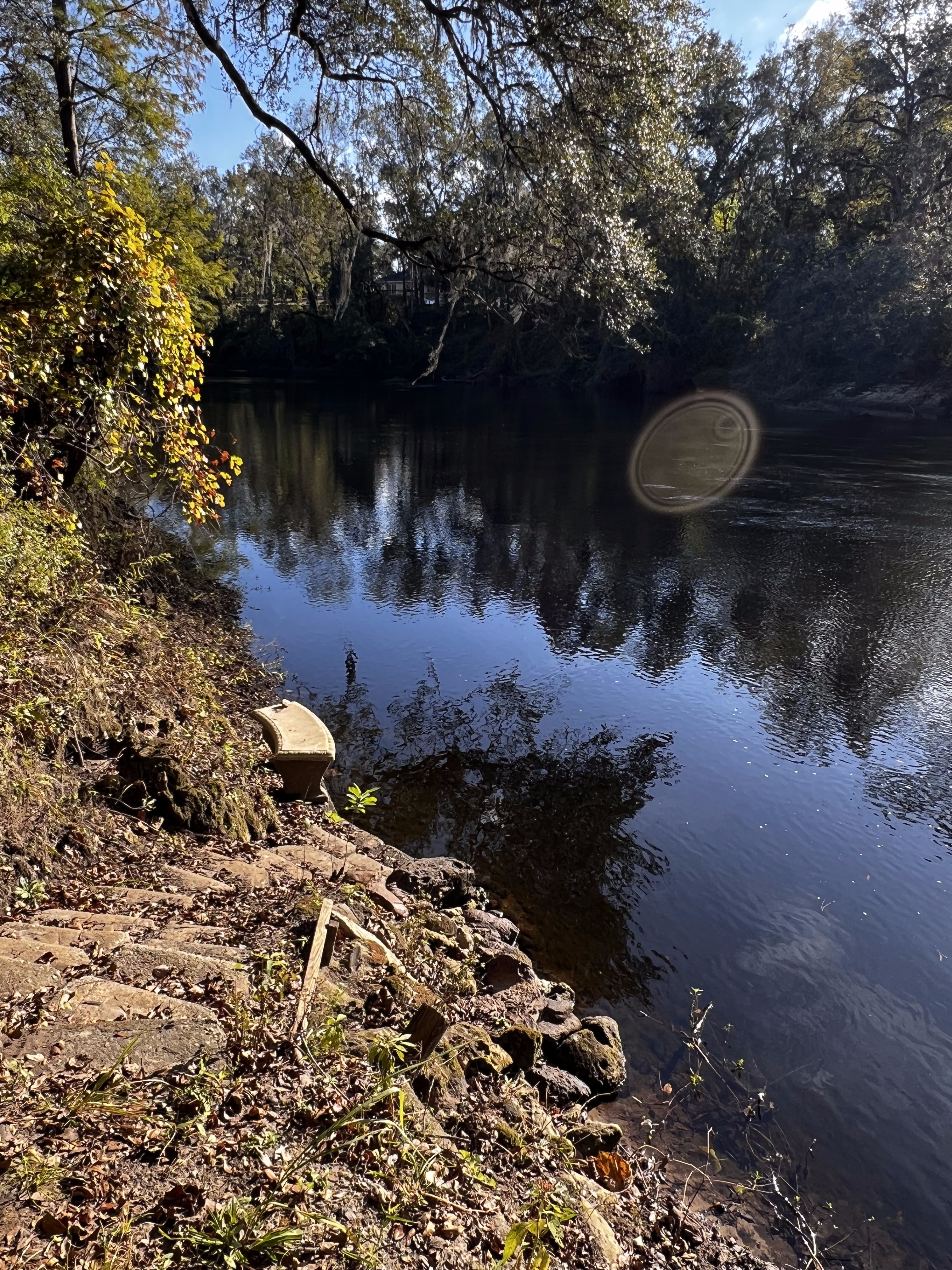 Holly Point, Withlacoochee River @ NE Withla Bluffs Way 2023-11-02