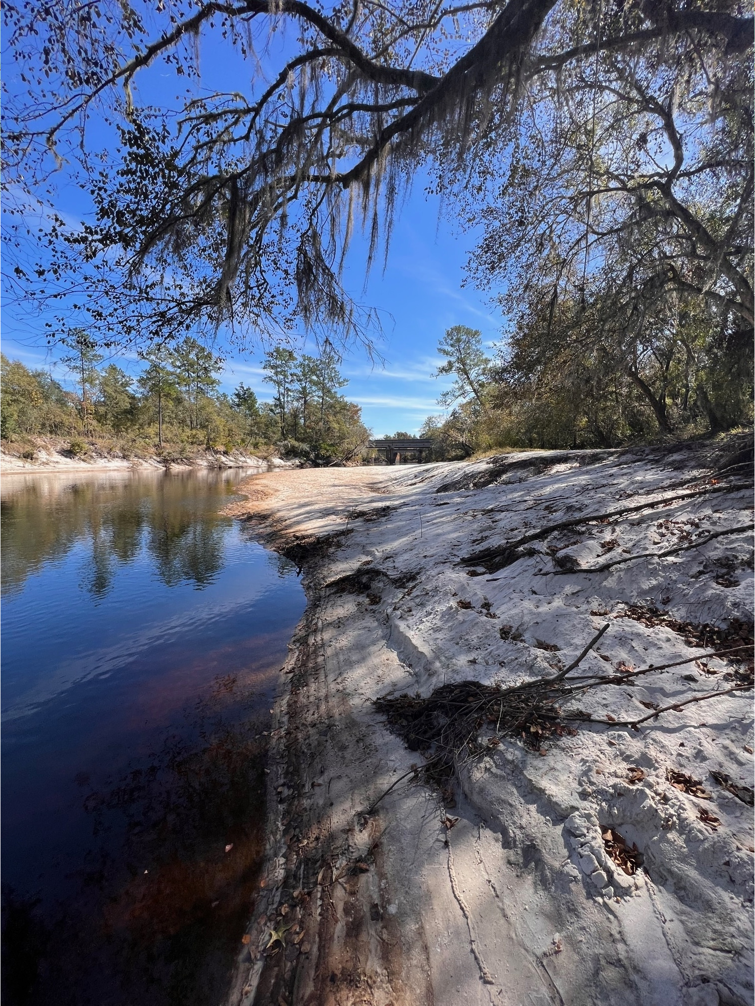 Naylor Park Beach, Alapaha River @ US 82 2023-11-02