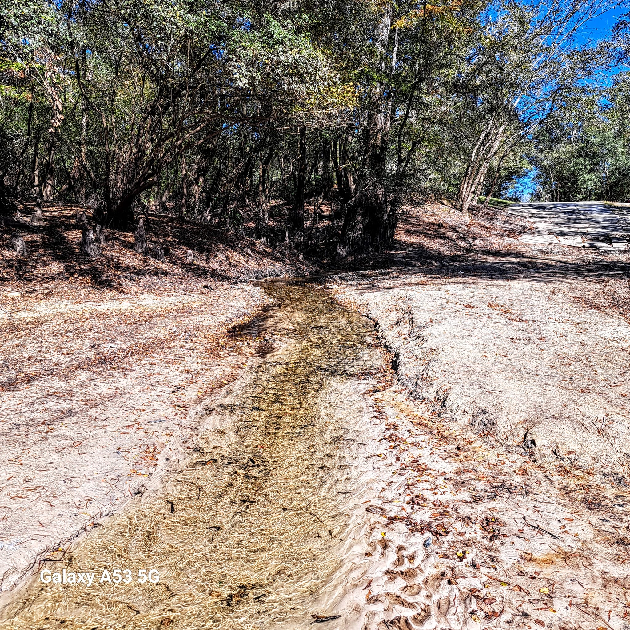 Creek at Knights Ferry Boat Ramp, Withlacoochee River @ Knights Ferry Road 2023-11-02