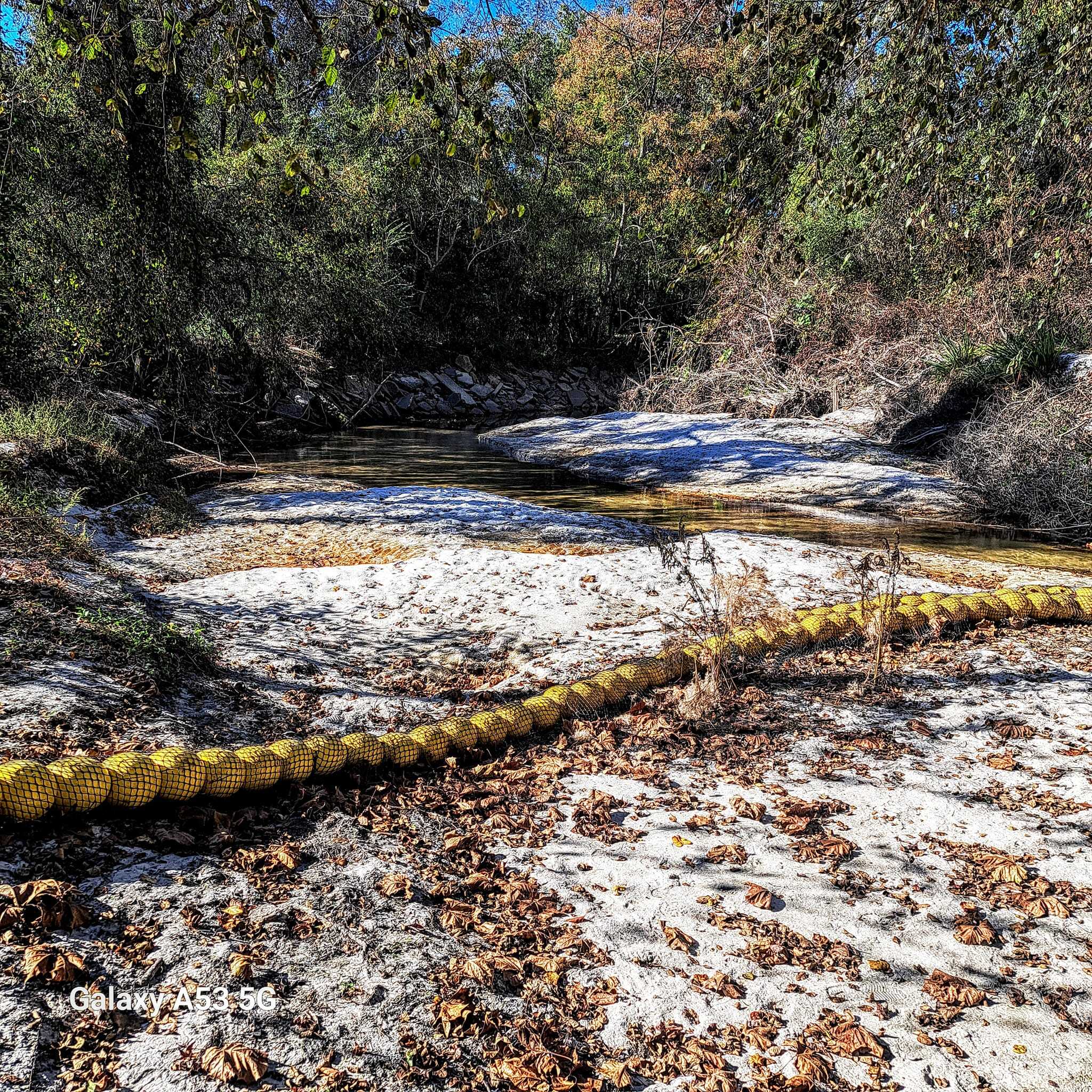 Across, Sugar Creek, Withlacoochee River @ Gornto Road 2023-11-02