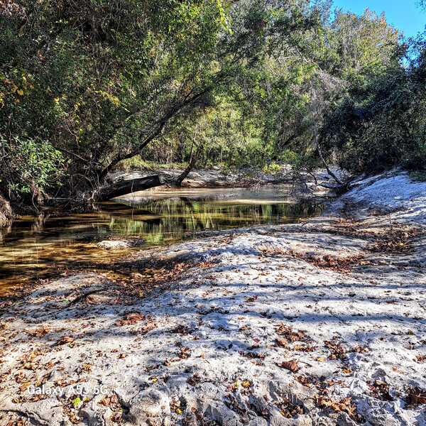 Sugar Creek downstream, Withlacoochee River @ Gornto Road 2023-11-02