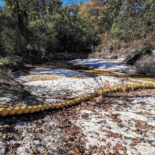 Across, Sugar Creek, Withlacoochee River @ Gornto Road 2023-11-02