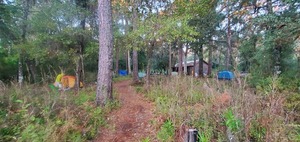 [Morning tents, Hebard Cabin, Floyds Island, 07:02:43, 30.8562662, -82.2664029]