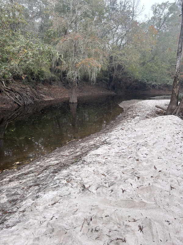 Sandbar, Langdale Park Boat Ramp, Withlacoochee River @ North Valdosta Road 2023-11-09