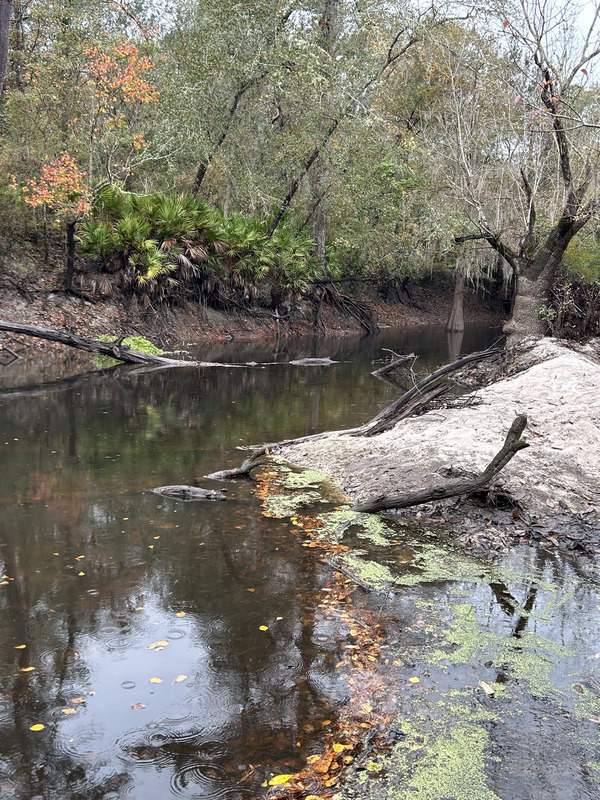 [Sandbar, Langdale Park Boat Ramp, Withlacoochee River @ North Valdosta Road 2023-11-16]