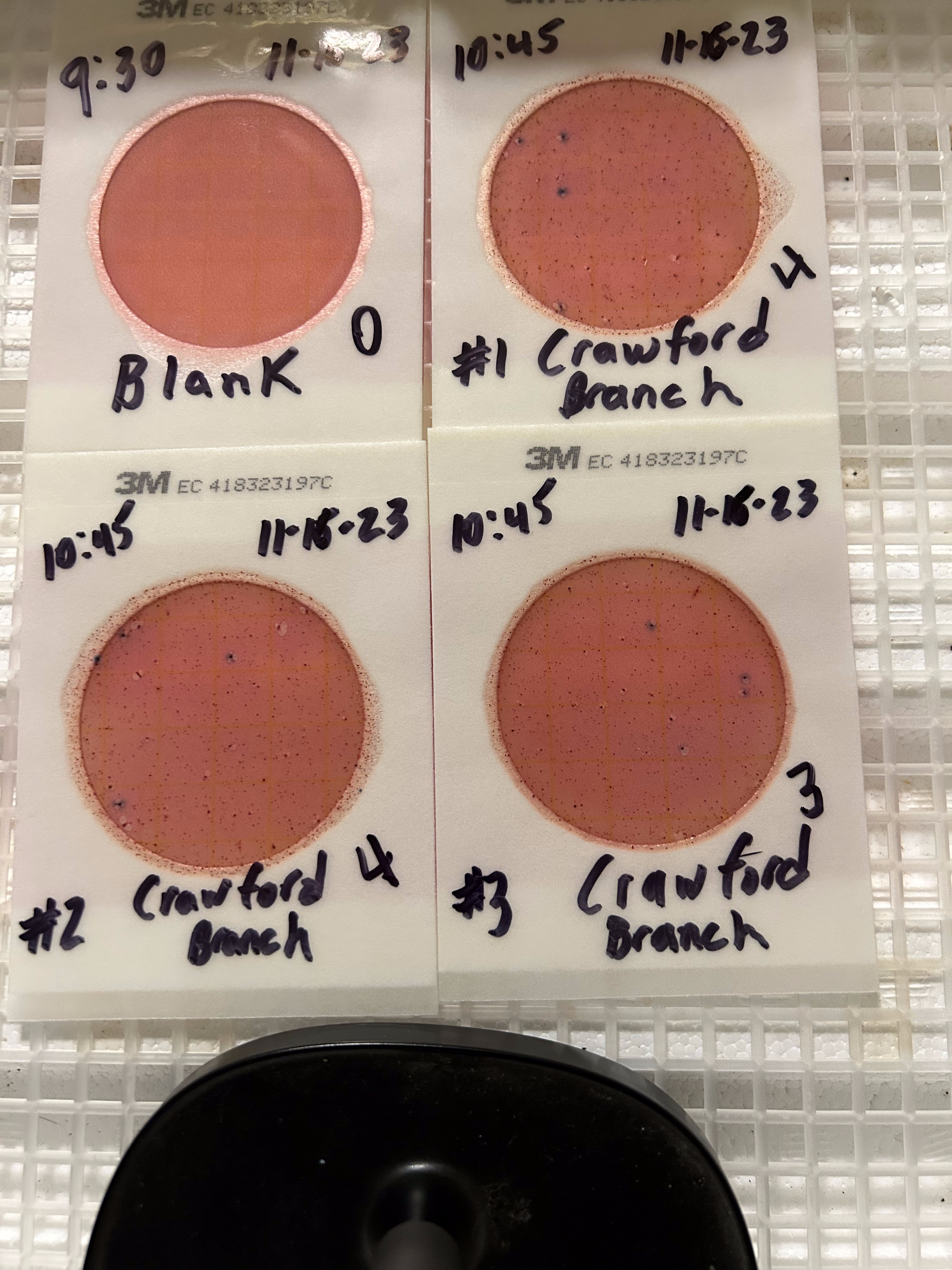 Plates, Crawford Branch 2023-11-16