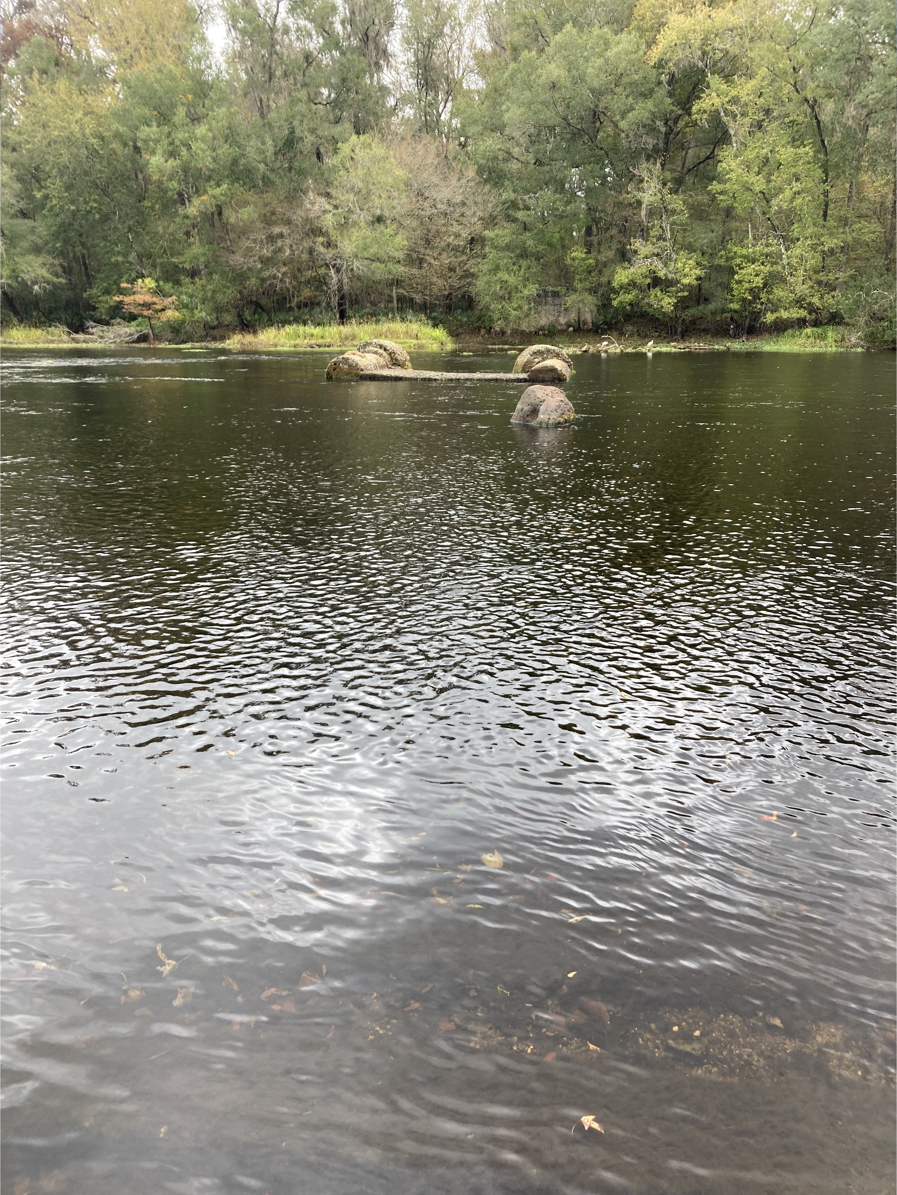 River, High Springs Ramp, Santa Fe River @ US 41 2023-11-22