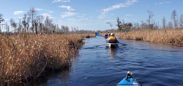 Movie: Where the paddles were coming from (17M)