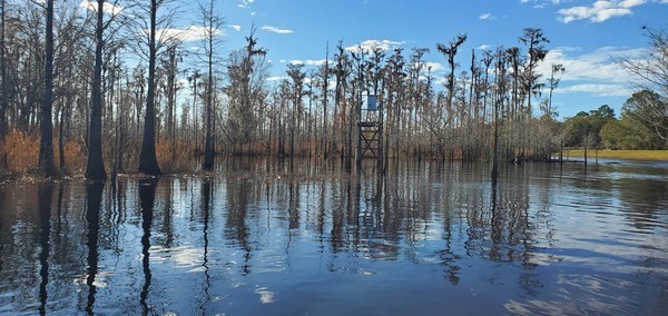 Metal structure and Suwannee River Sill, 2023:12:09 11:25:17, 30.8051010, -82.4156144