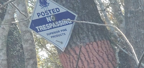 [Posted No Tresspassing Superior Pine Products, 2023:12:09 13:45:28, 30.7879415, -82.4445337]