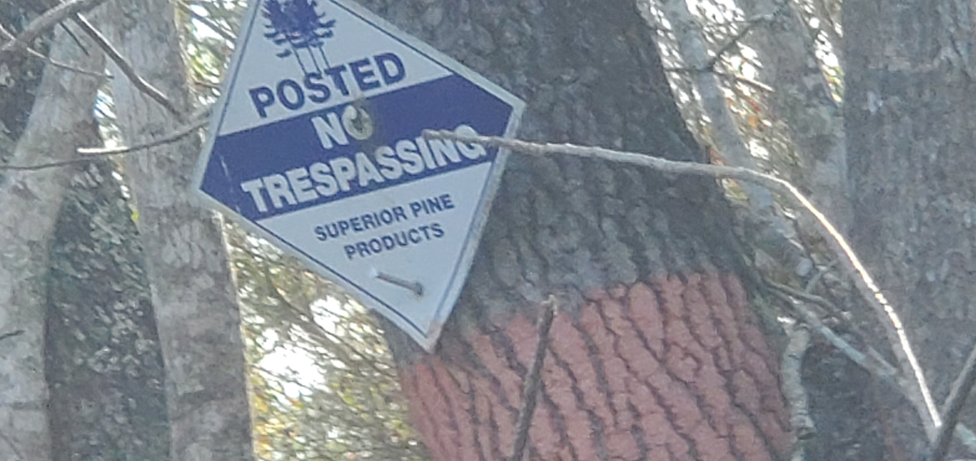 Posted No Tresspassing Superior Pine Products, 2023:12:09 13:45:28, 30.7879415, -82.4445337