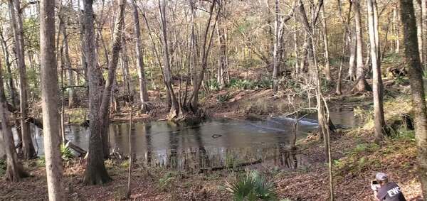 Movie: Mill Pond Spring, Ichetucknee River, 14:57:02, 29.9661757, -82.7601953 (21M)